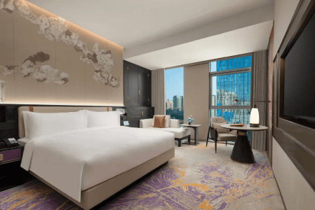 善信豪雅大床房